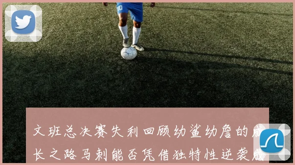 文班总决赛失利回顾幼鲨幼詹的成长之路马刺能否凭借独特性逆袭成功